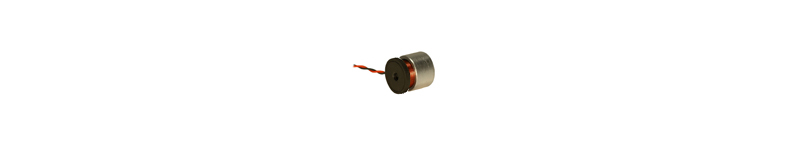 Vacuum Compatible Linear Voice Coil Motor